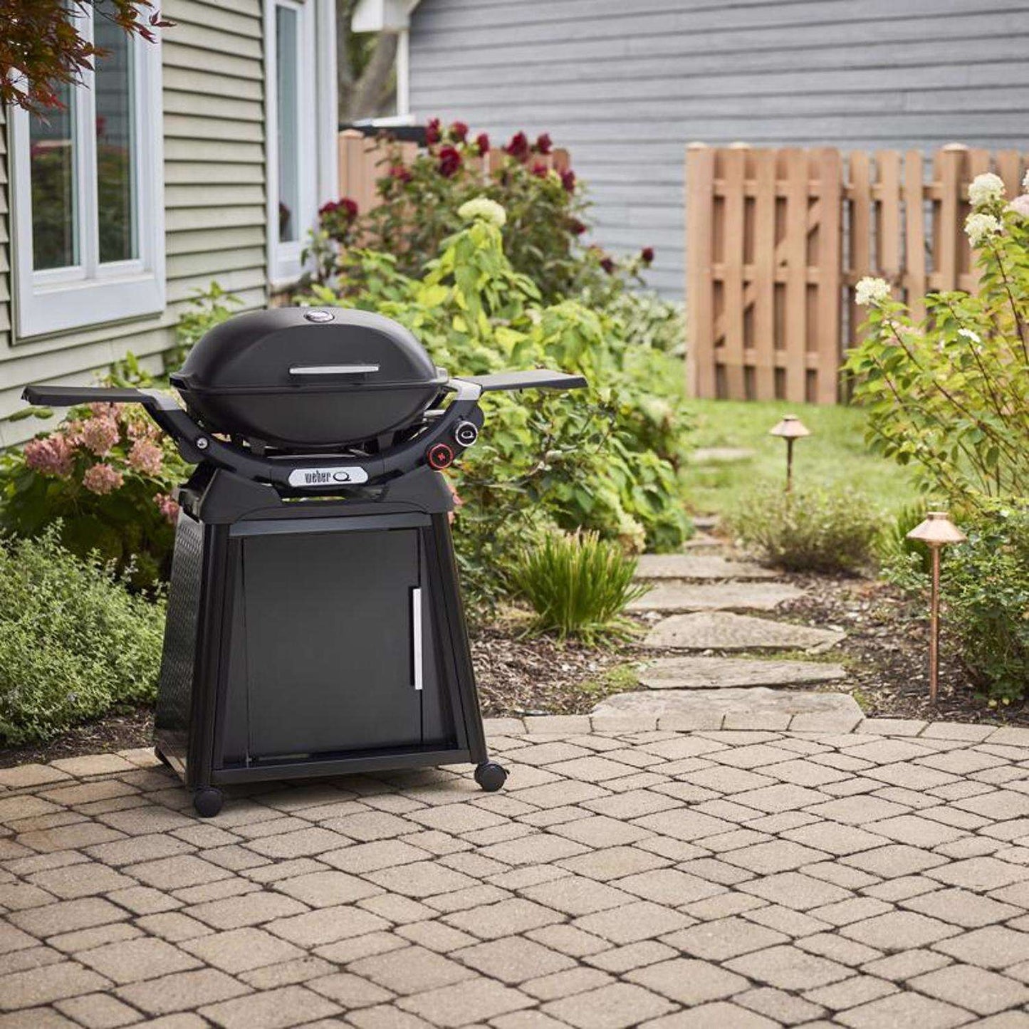 Q 2800N+ w/Cart 2 Burner Grill