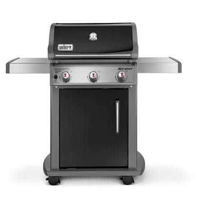 Spirit E-310