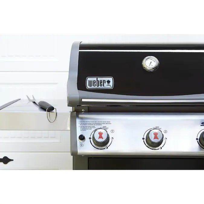 Spirit E-310