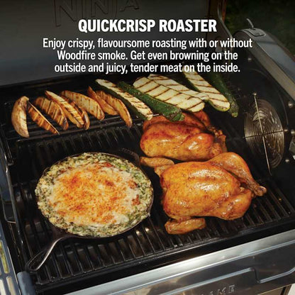 FlexFlame Gas BBQ & Outdoor Cooking System