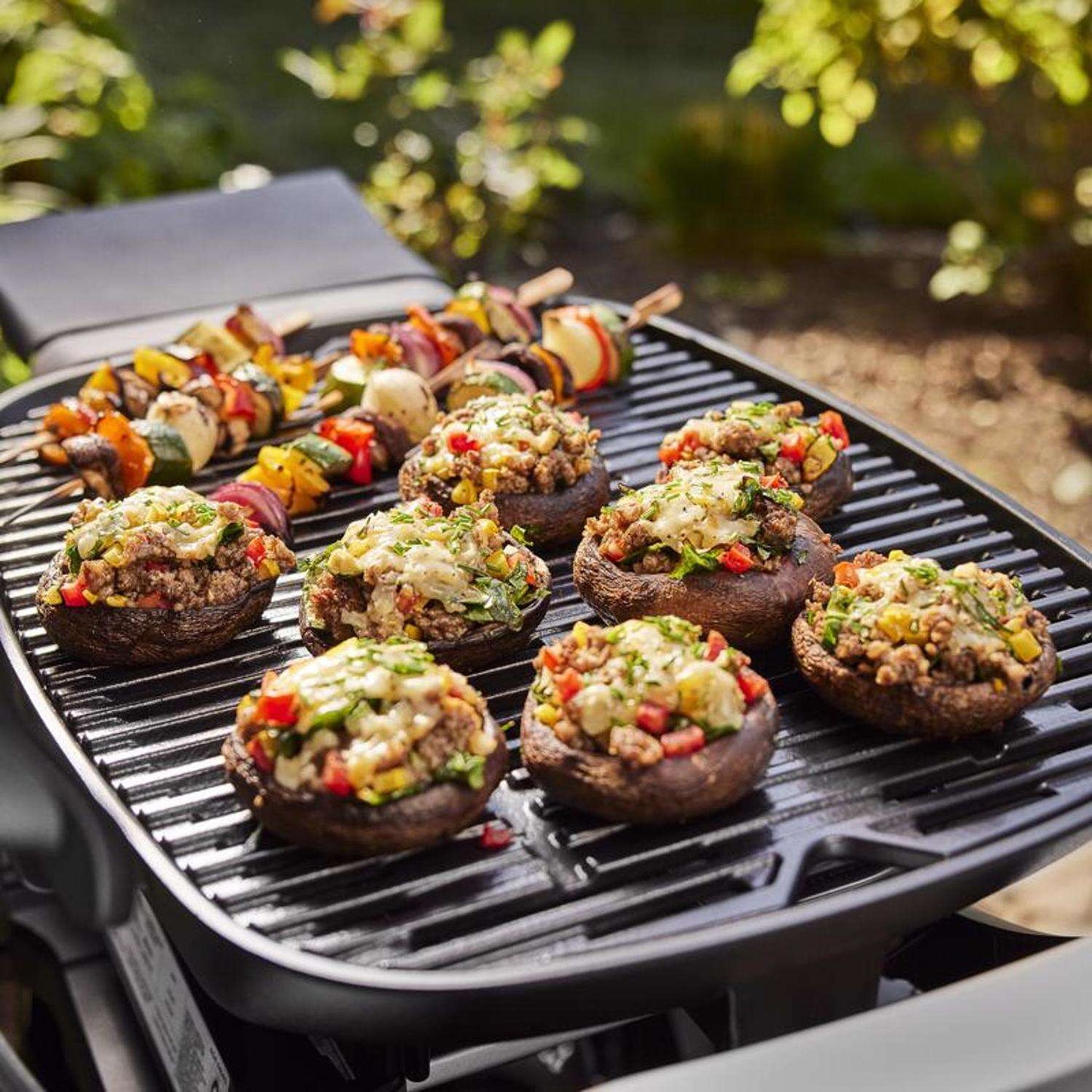 Q 2800N+ w/Cart 2 Burner Grill