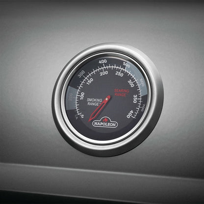Freestyle 365 Gas Grill