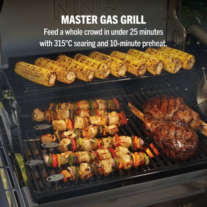 FlexFlame ProConnect Gas BBQ Ultimate 5-in-1 Bundle