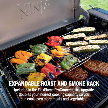 FlexFlame ProConnect Gas BBQ Ultimate 5-in-1 Bundle