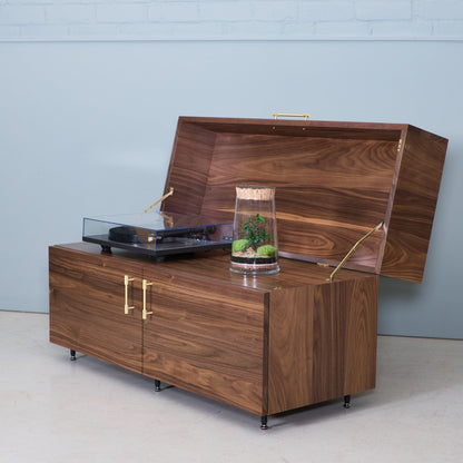 Lockable Vinyl Record Storage