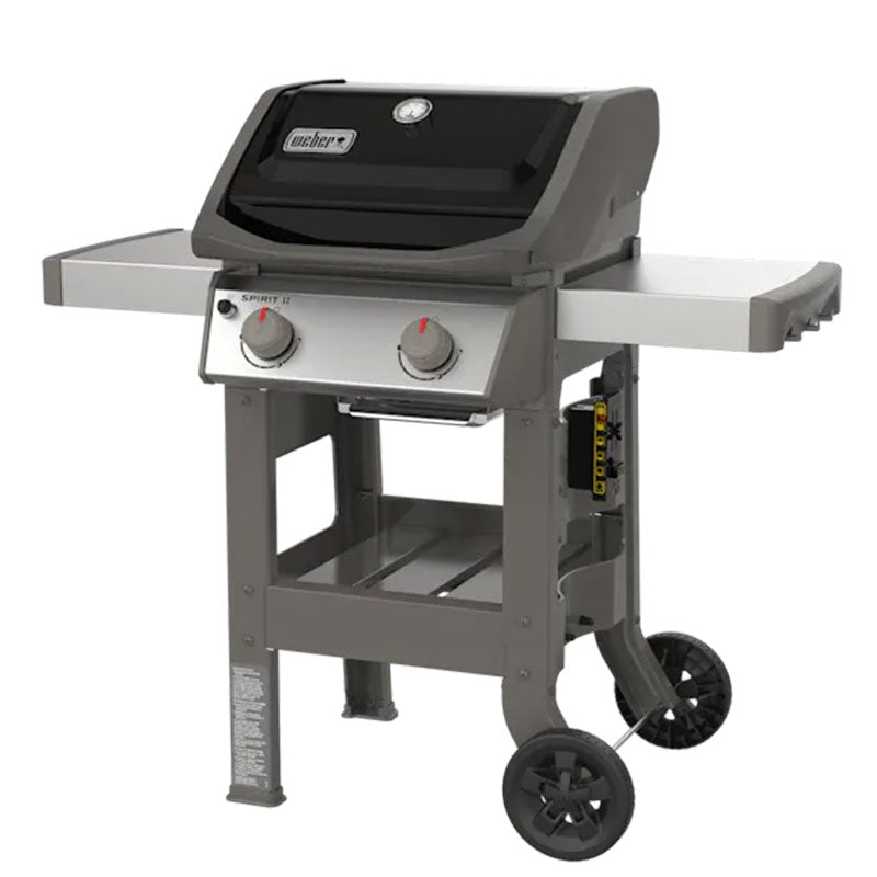 Spirit II E-210