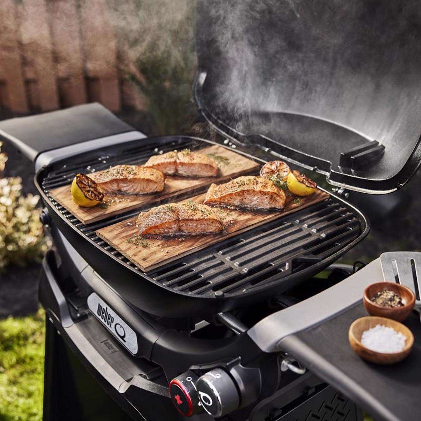 Q 2800N+ w/Cart 2 Burner Grill