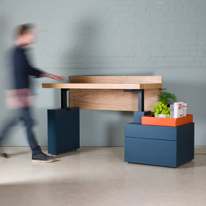 Oak Sit-Stand Desk, Raze